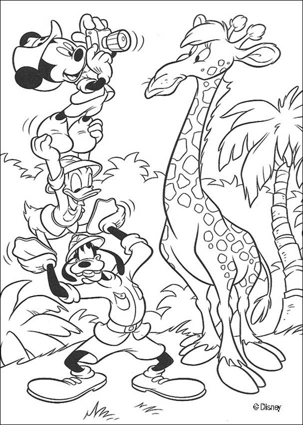 donald duck coloring printable donald duck coloring pages for kids cool2bkids donald coloring duck 