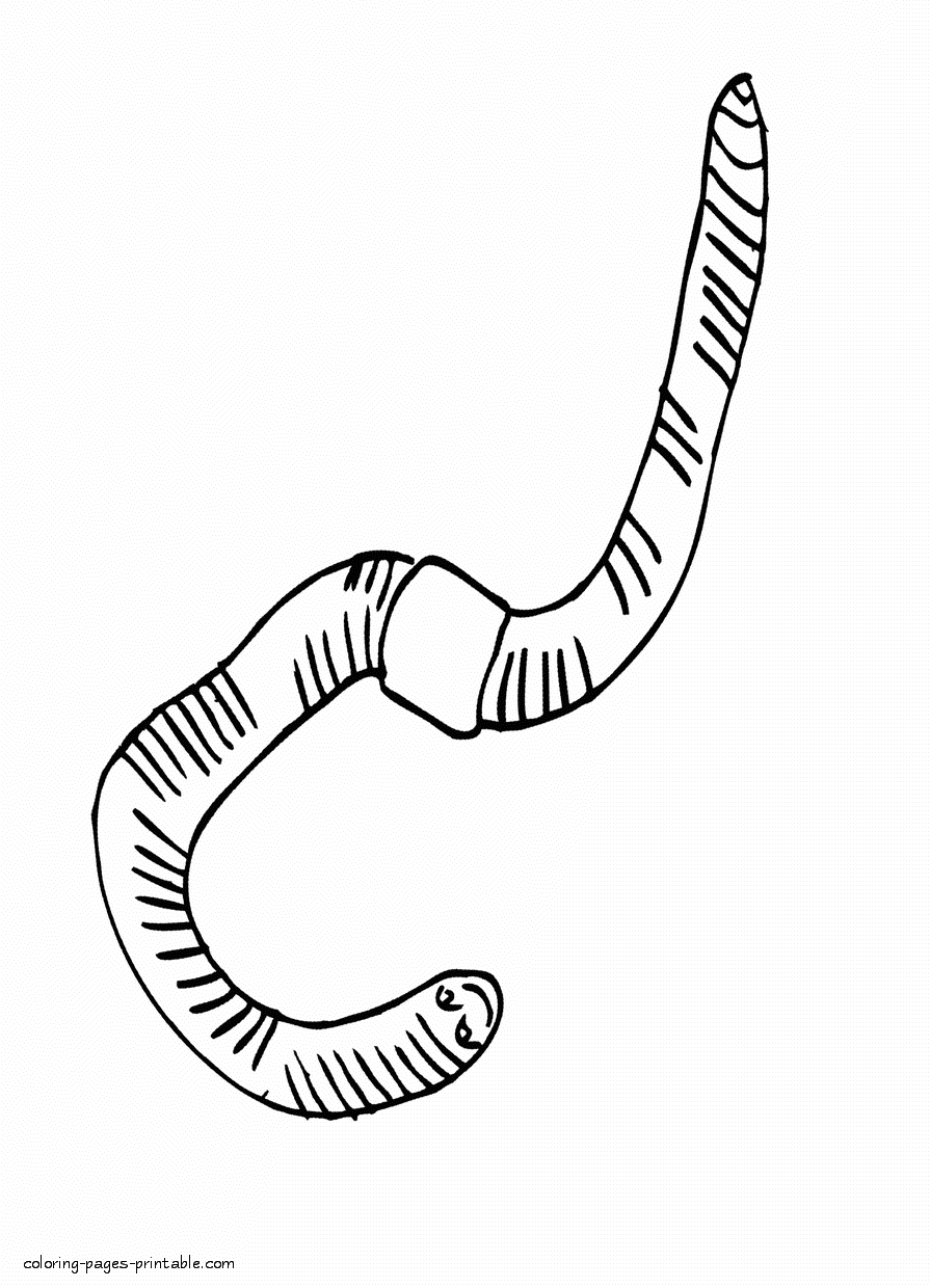earthworm color earth worm coloring page coloring pages printablecom color earthworm 