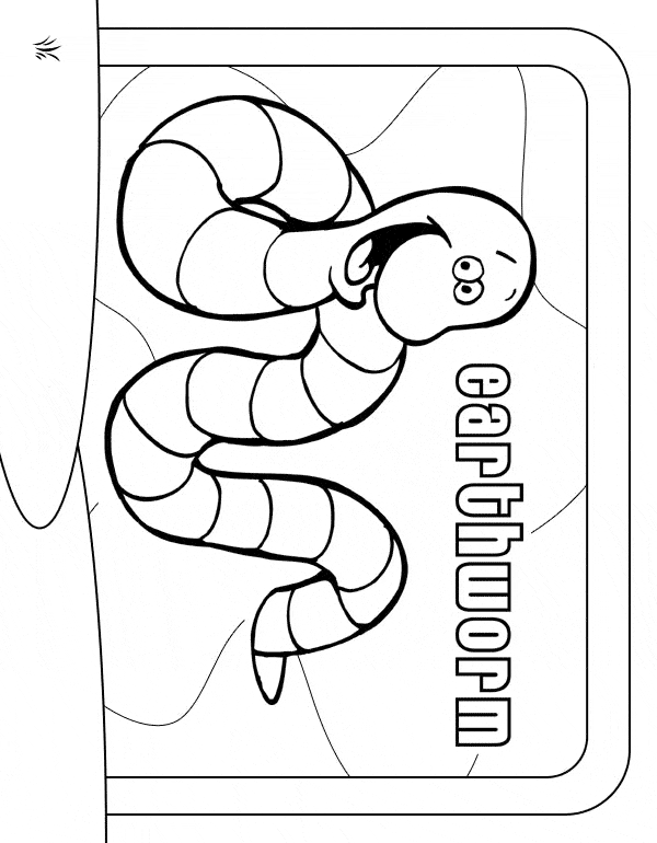 earthworm color earthworm coloring page animals town animals color color earthworm 