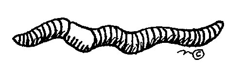 earthworm color earthworm coloring page get coloring pages color earthworm 