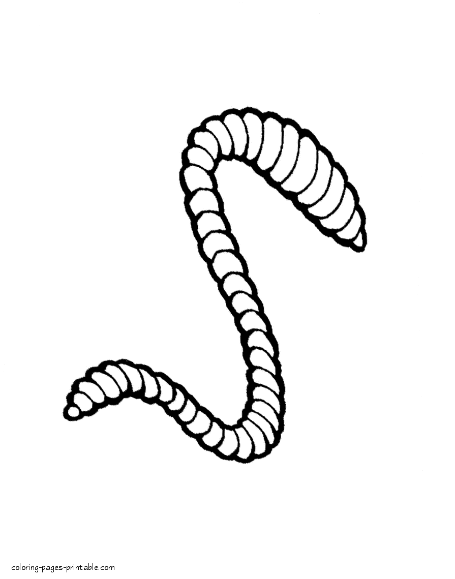 earthworm color earthworm drawing at getdrawingscom free for personal earthworm color 
