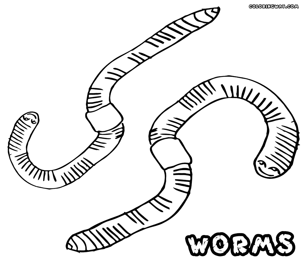 earthworm color worm coloring pages coloring pages to download and print color earthworm 