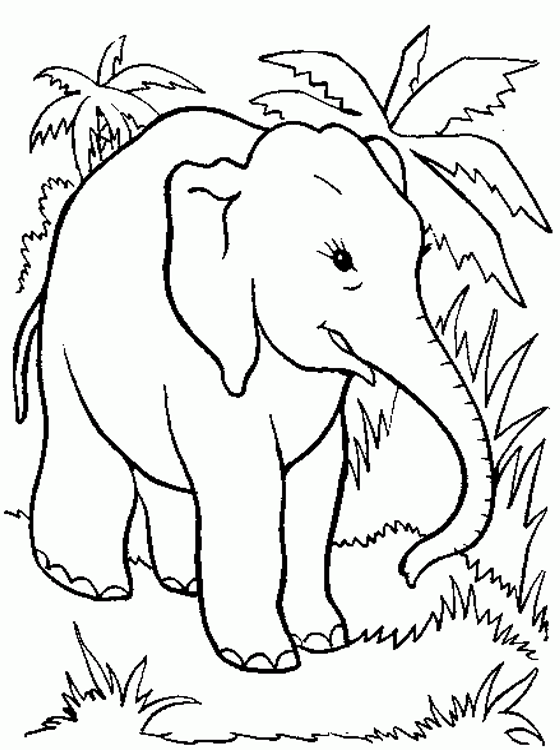 elephant coloring page cartoon elephant coloring page free printable coloring pages coloring page elephant 