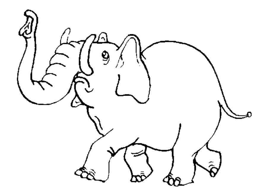 elephant coloring page elephant coloring pages sheets pictures page coloring elephant 