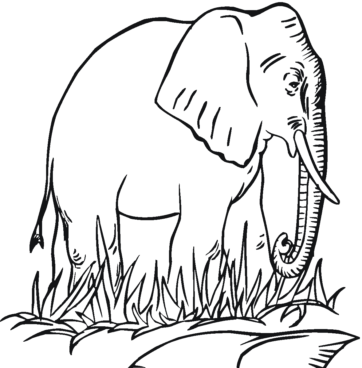 elephant coloring page free elephant coloring pages elephant coloring page 1 1