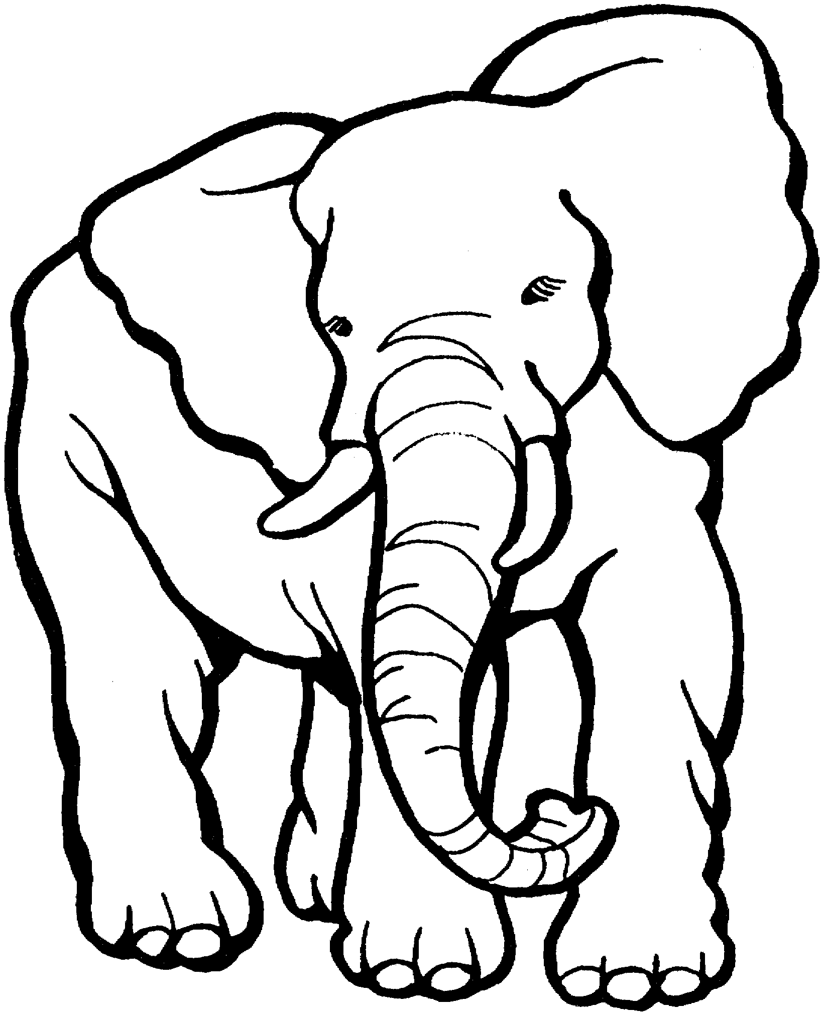 elephant coloring page free printable elephant coloring pages for kids coloring elephant page 