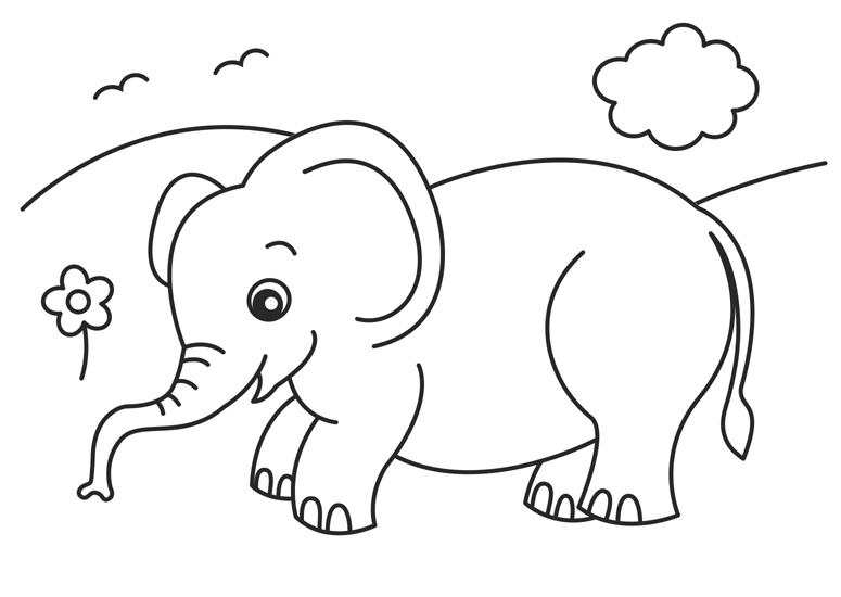 elephant coloring pictures baby elephant coloring pages animal elephant pictures coloring 