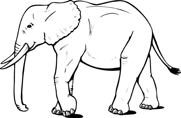 elephant coloring pictures free printable elephant coloring pages for kids pictures coloring elephant 