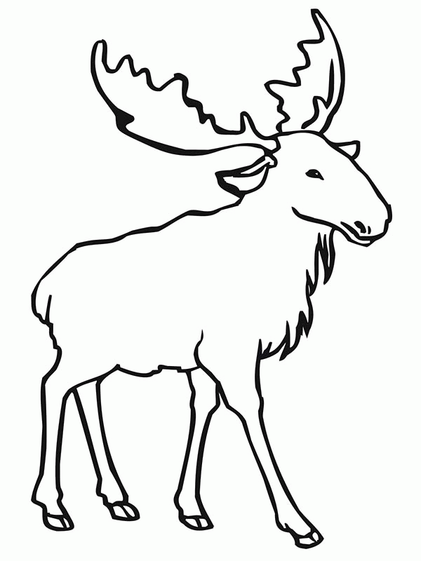elk coloring page free printable elk coloring pages coloring home page coloring elk 