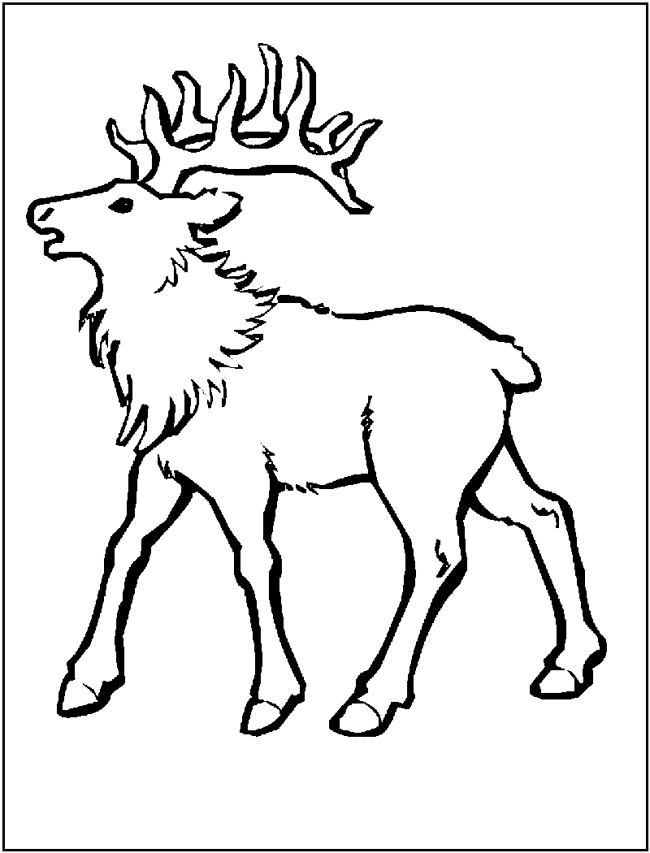 elk coloring page north american elk coloring pages download print elk page coloring 