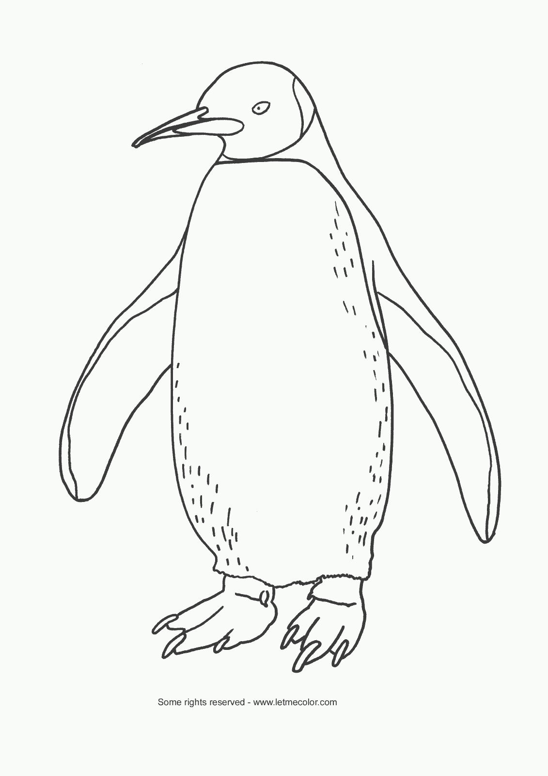 emperor penguin coloring page emperor penguin coloring pages coloring home page emperor coloring penguin 