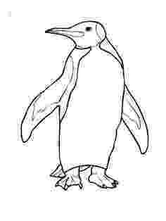 emperor penguin coloring page penguin colouring pages coloring page emperor penguin 