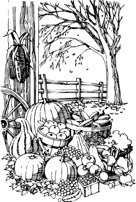 fall harvest coloring pictures november coloring pages best coloring pages for kids pictures harvest coloring fall 