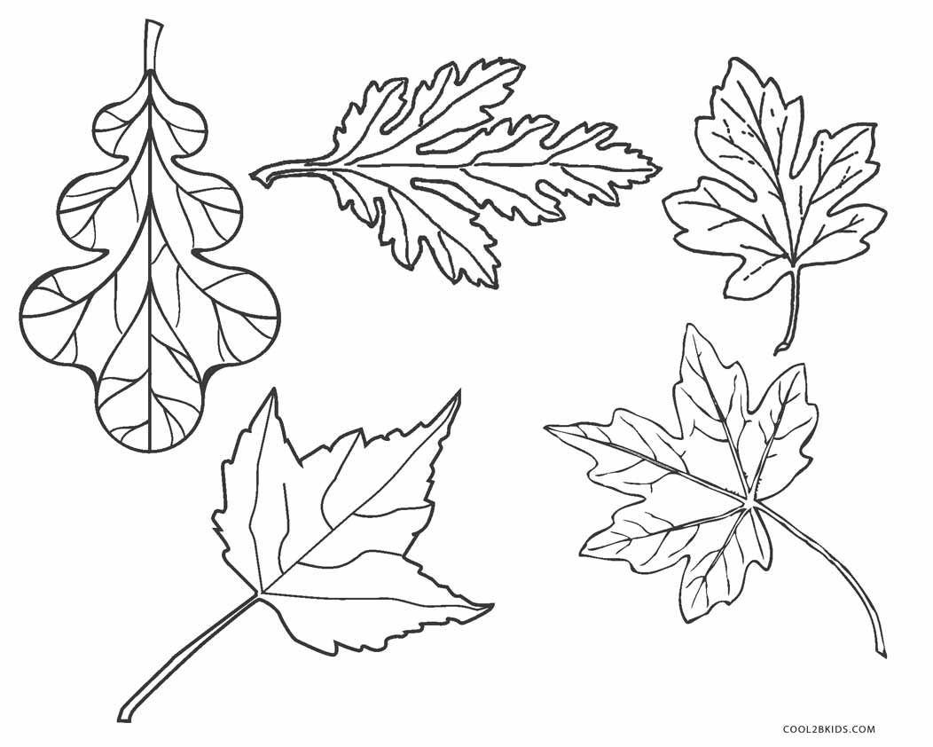 fall leaves coloring 4 free printable fall coloring pages fall coloring leaves 