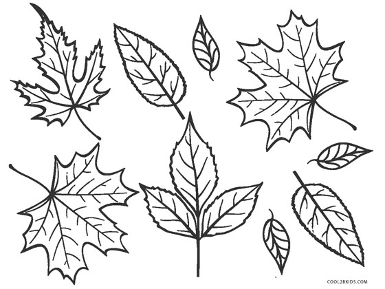fall leaves coloring autumn leaves coloring pages getcoloringpagescom fall leaves coloring 