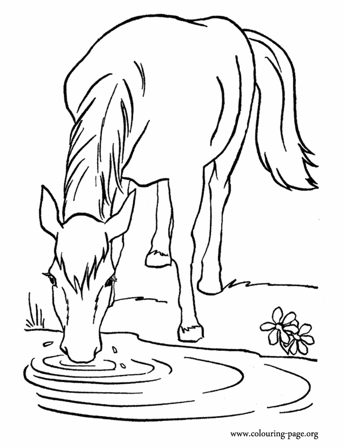 farm animal horse coloring pages farm animals coloring pages getcoloringpagescom farm coloring pages animal horse 