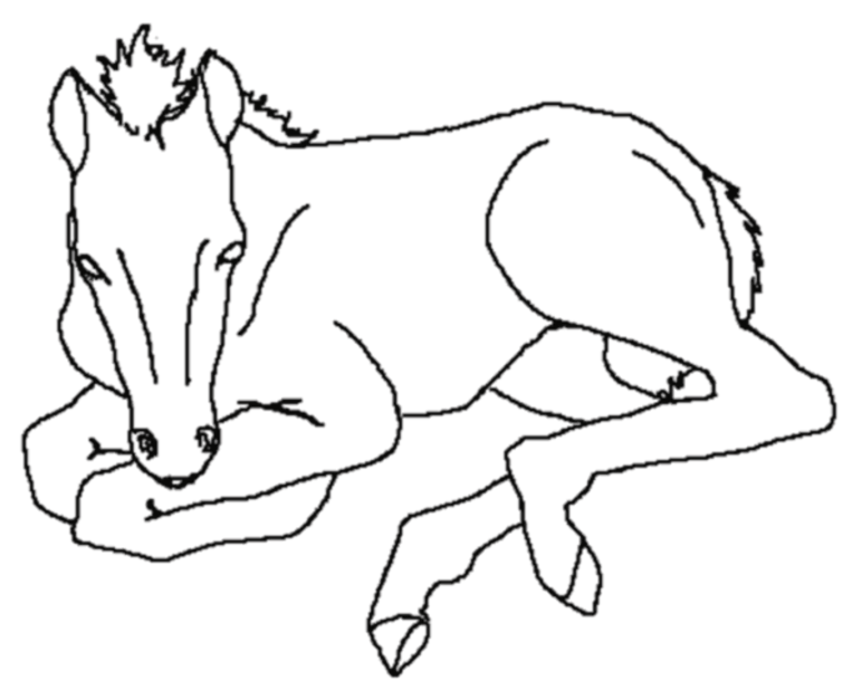 farm animal horse coloring pages farm coloring pages best coloring pages for kids animal farm pages horse coloring 