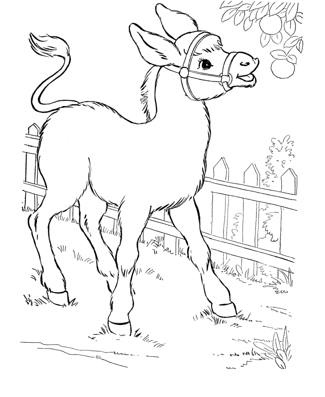 farm animal horse coloring pages free printable farm animal coloring pages for kids coloring pages horse farm animal 