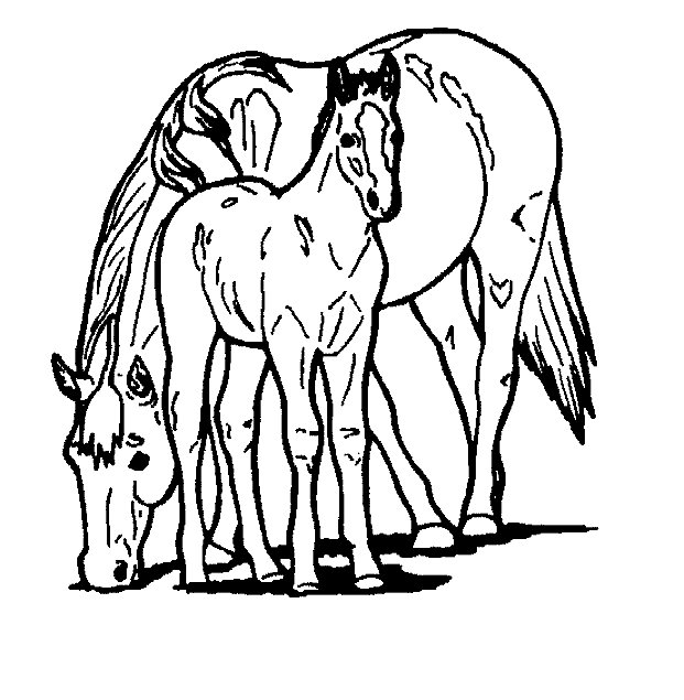 farm animal horse coloring pages horses coloring pages printable coloring for kids 2019 coloring horse pages animal farm 