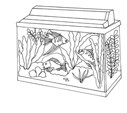 fish aquarium coloring pages coloring pages aquarium tropical fish pages fish aquarium coloring 