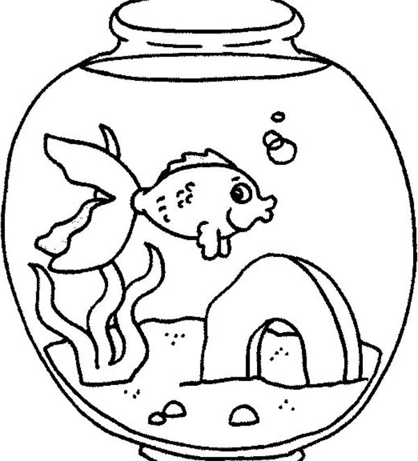 fish aquarium coloring pages fish tank drawing at getdrawingscom free for personal pages fish aquarium coloring 
