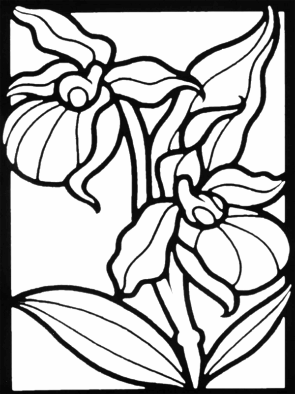 flower colouring pictures to print free printable flower coloring pages for kids best pictures to flower colouring print 
