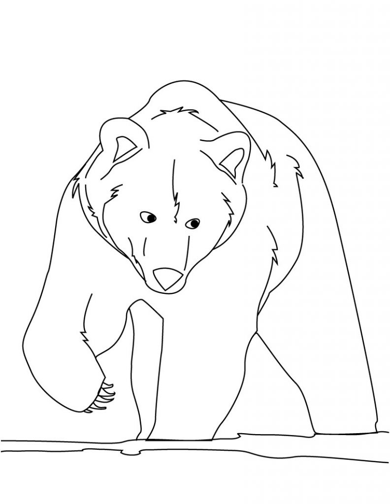 free coloring pages bears 79 beste afbeeldingen van beren tekeningen beren free coloring bears pages 