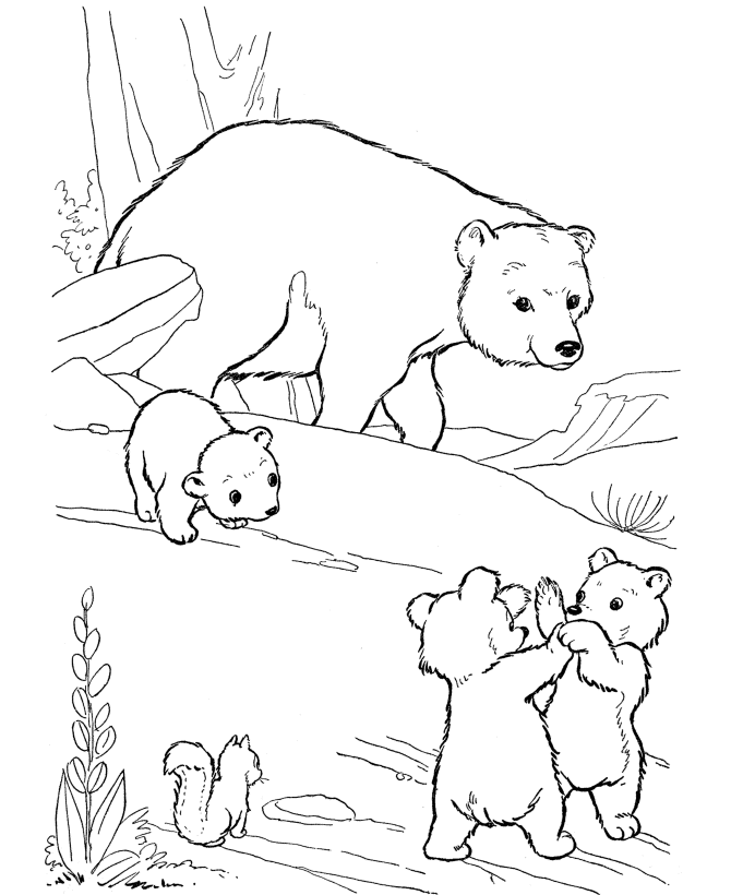 free coloring pages bears free bear coloring pages coloring free pages bears 