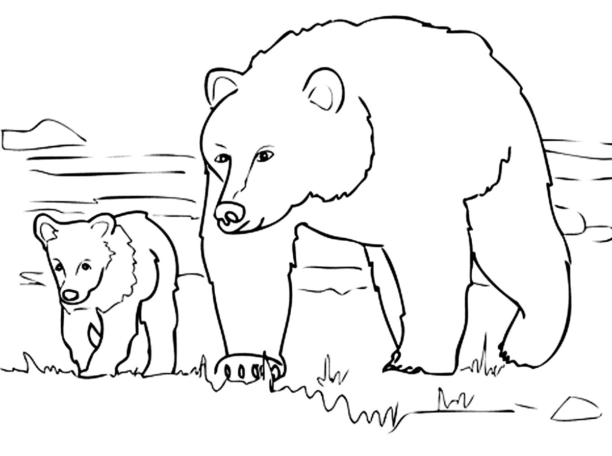 free coloring pages bears free printable bear coloring pages for kids free coloring pages bears 