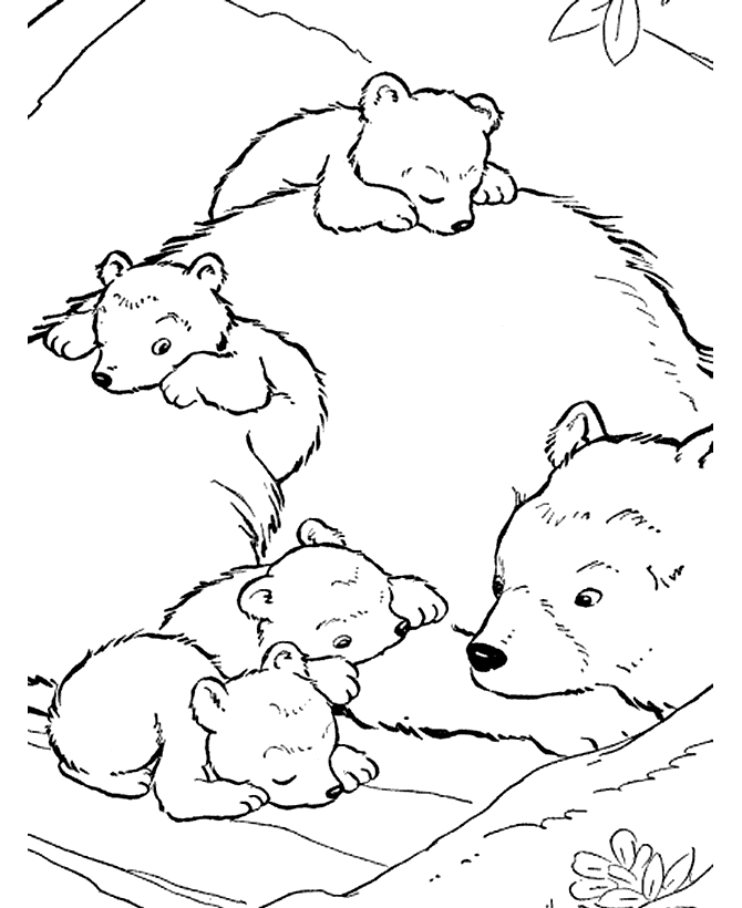 free coloring pages bears free printable bear coloring pages for kids pages free coloring bears 