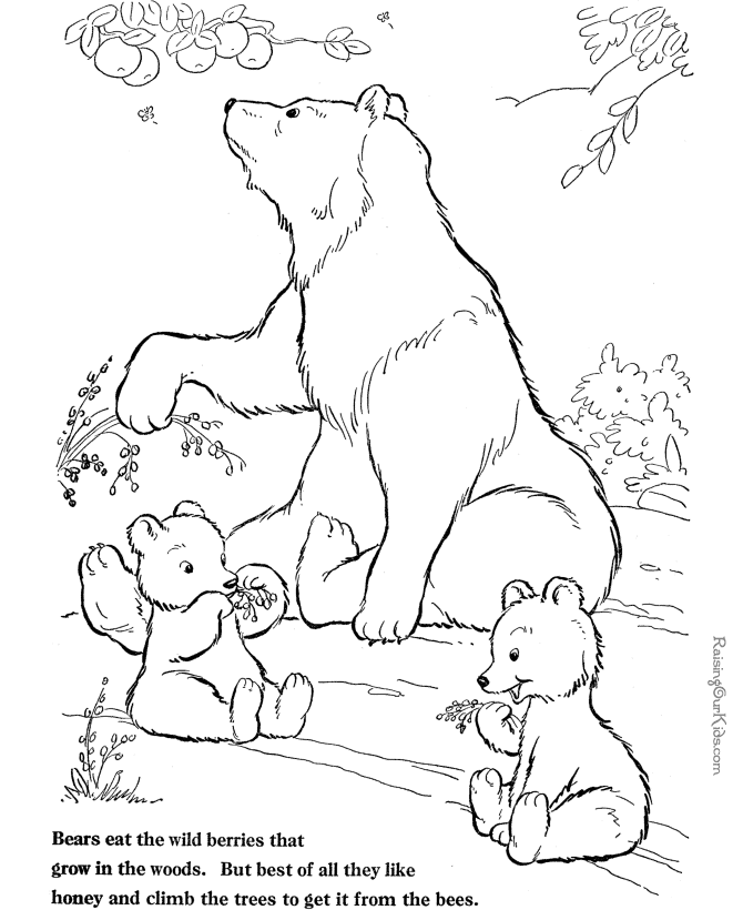 free coloring pages bears free printable care bear coloring pages for kids bears coloring pages free 