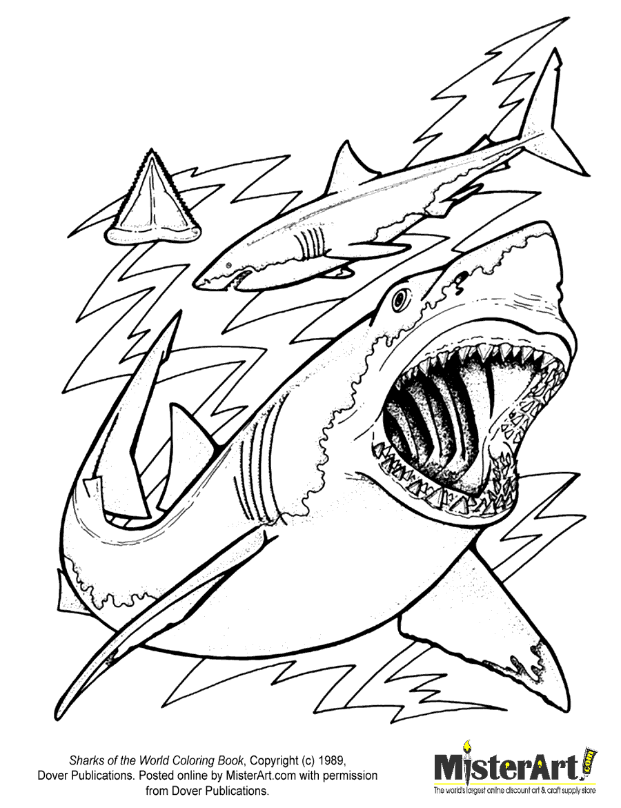 free coloring pages sharks free printable shark coloring pages for kids sharks free coloring pages 