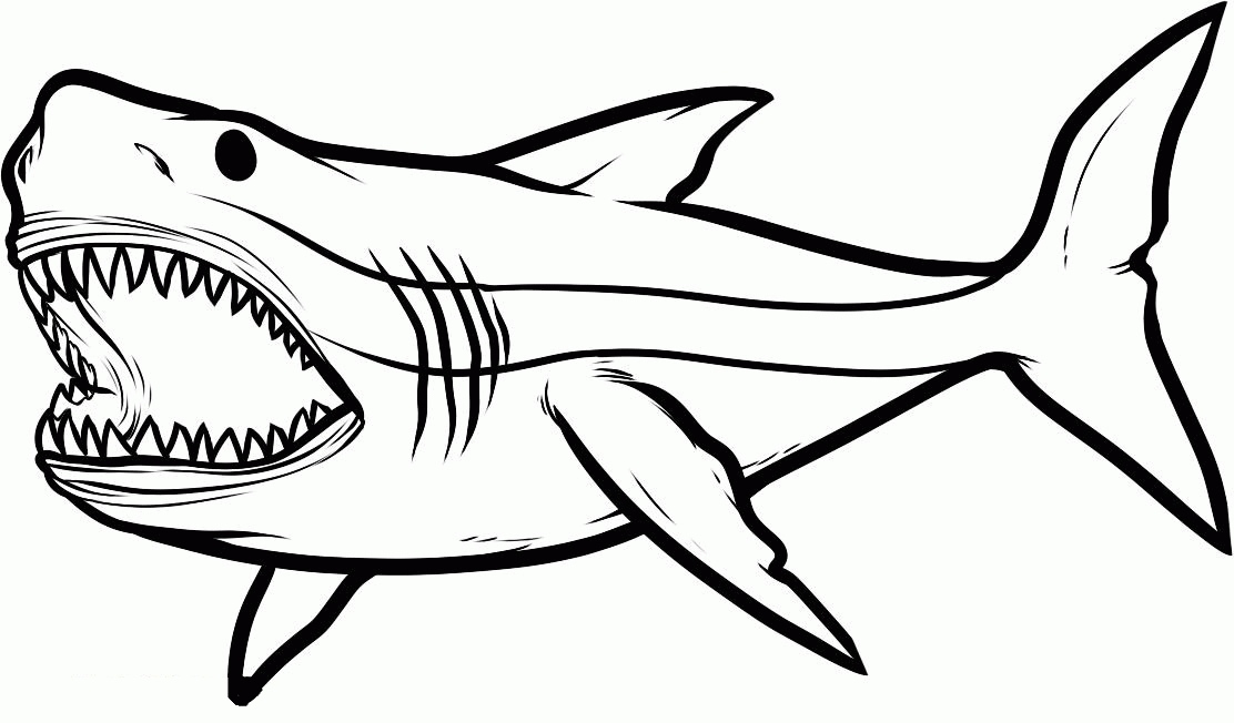 free coloring pages sharks shark coloring pages getcoloringpagescom sharks coloring free pages 