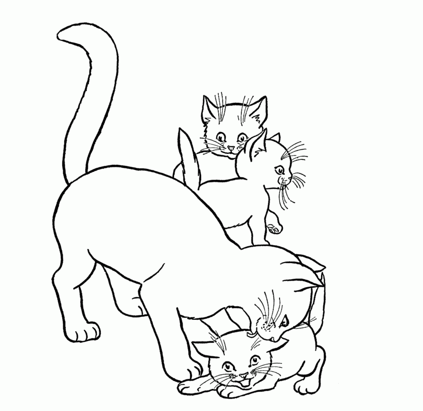 free coloring pictures of cats free printable cat coloring pages for kids pictures free coloring of cats 