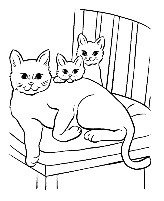 free coloring pictures of cats the marie cat coloring pages team colors cats free coloring of pictures 