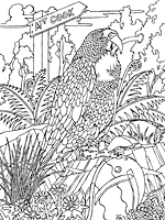 free colouring pages nz coat of arms of new zealand coloring page free printable free colouring pages nz 