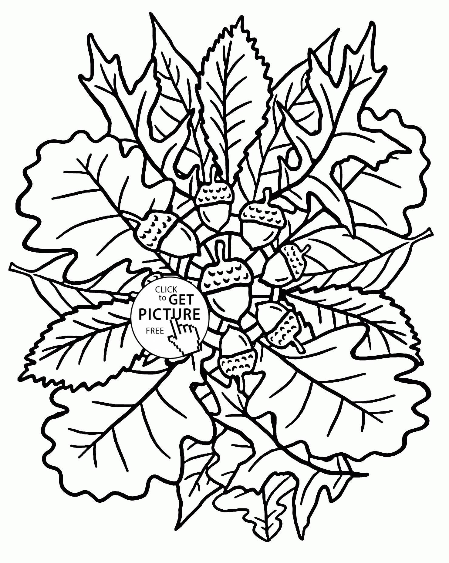 free colouring pictures autumn leaves fall leaves coloring pages best coloring pages for kids pictures autumn leaves colouring free 