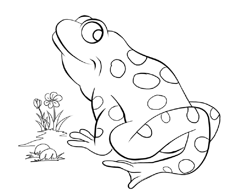 free frog coloring pages 20 free printable frog coloring pages everfreecoloringcom pages coloring frog free 
