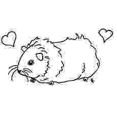 free guinea pig coloring pages guinea pig cartoon drawing at getdrawings free download pig pages guinea coloring free 