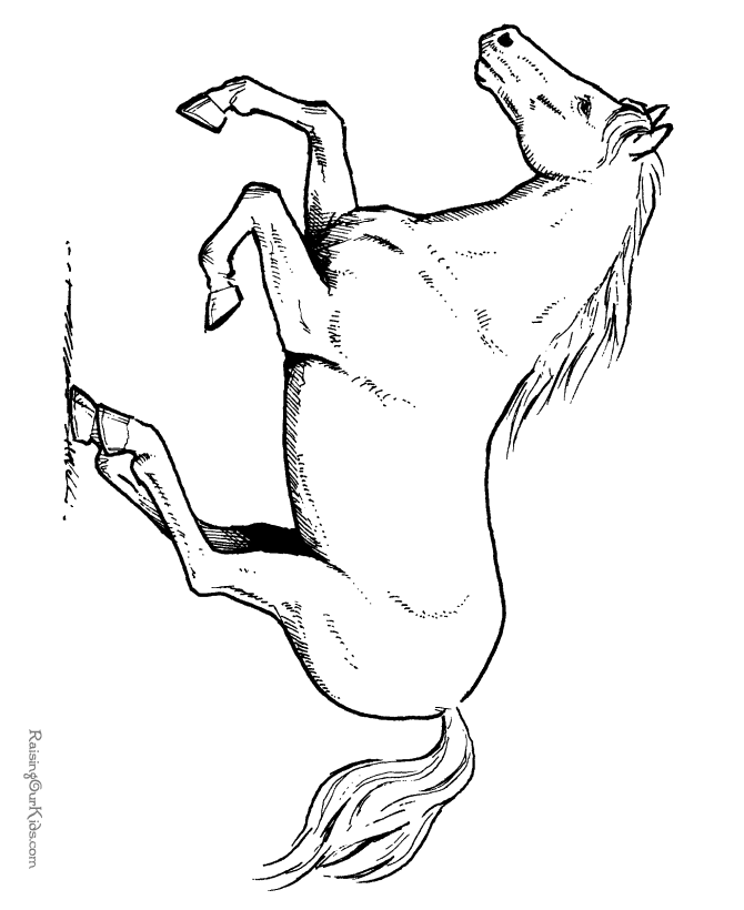 free horse coloring pages printable horse coloring sheet 039 pages coloring printable free horse 