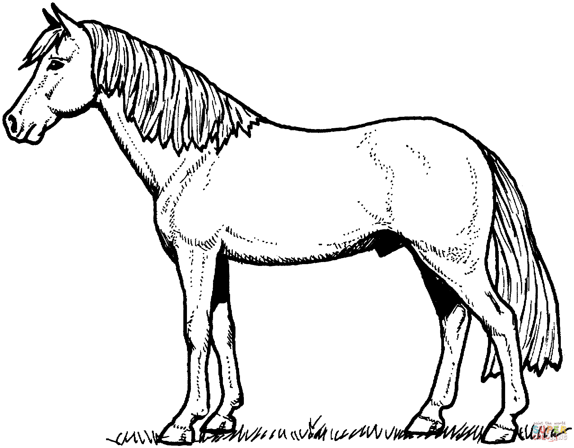free horse coloring pictures free horse coloring pages horse free pictures coloring 