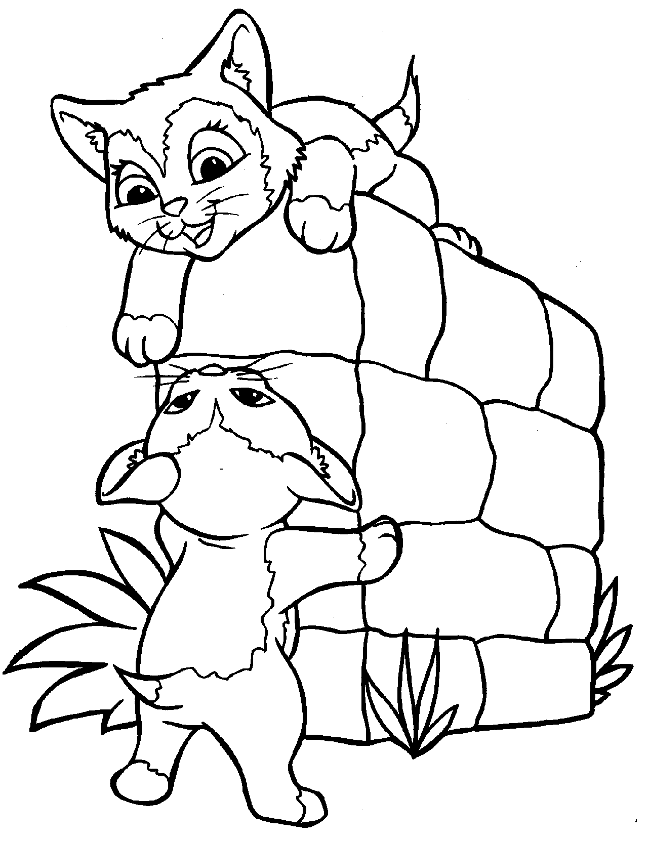 free kitten coloring pages cat coloring pages coloringpages1001com pages free coloring kitten 