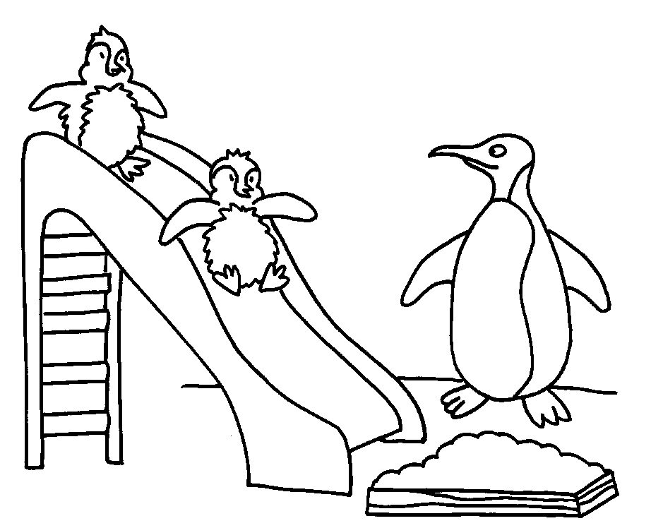 free penguin coloring pages penguin coloring pages free printable for kids coloring free pages penguin 