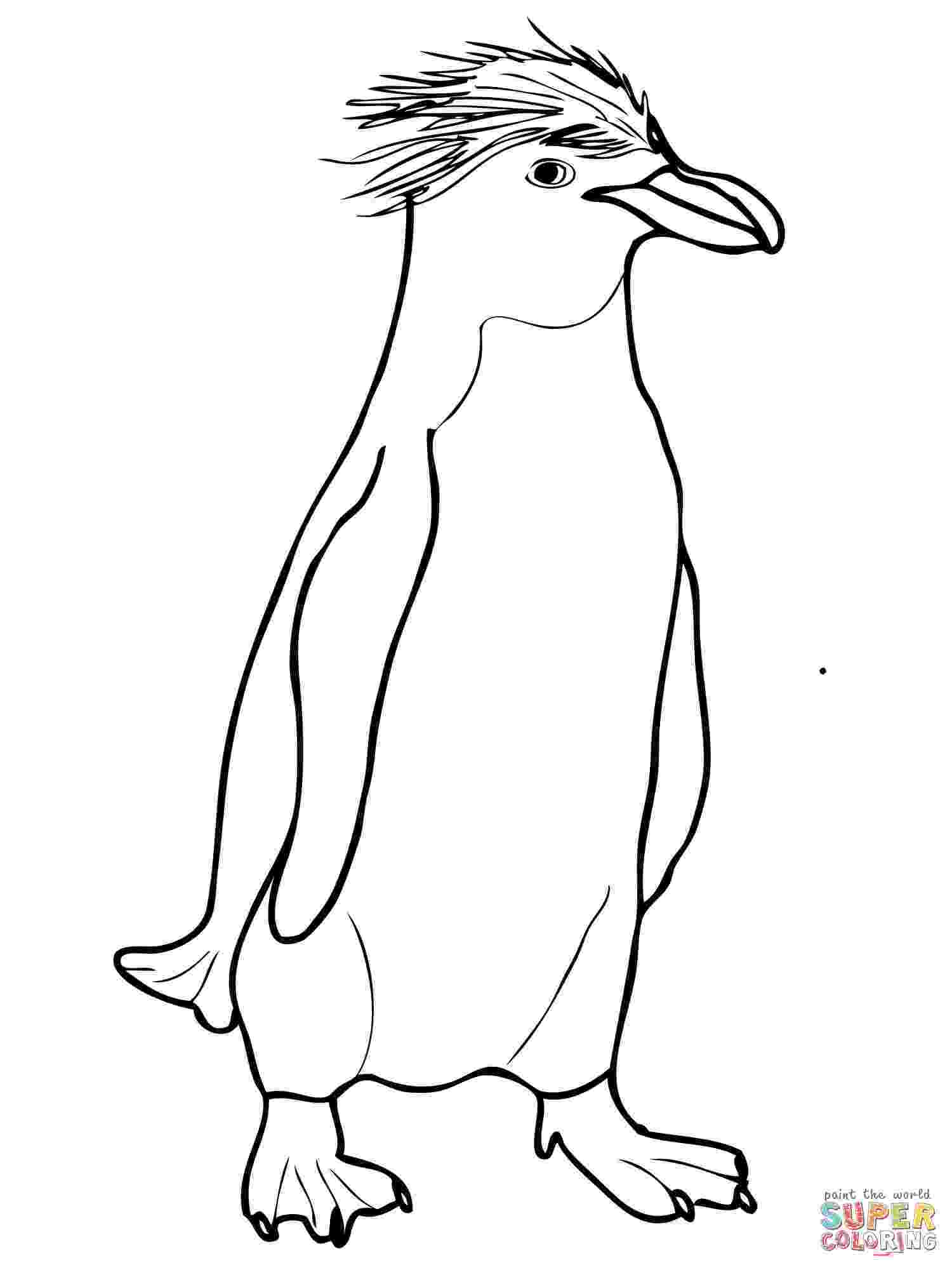 free penguin coloring pages penguin outline drawing at getdrawingscom free for pages free coloring penguin 