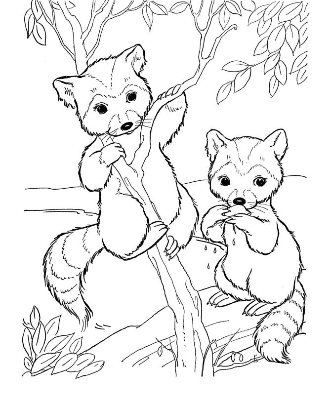 free printable baby animal coloring pages cute baby animals coloring pages getcoloringpagescom baby animal free printable coloring pages 