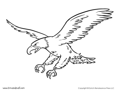 free printable coloring pages eagle rules of the jungle printable pictures of bald eagle coloring eagle pages free printable 