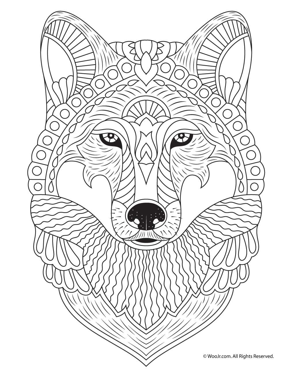free printable coloring pages wolf desene de colorat lup 6 planse de colorat cu lup 6 printable wolf free pages coloring 