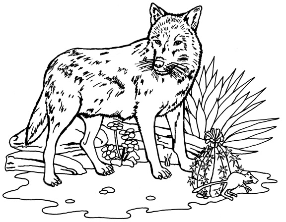 free printable coloring pages wolf wild animal quot wolf quot printable coloring pages pages wolf free coloring printable 