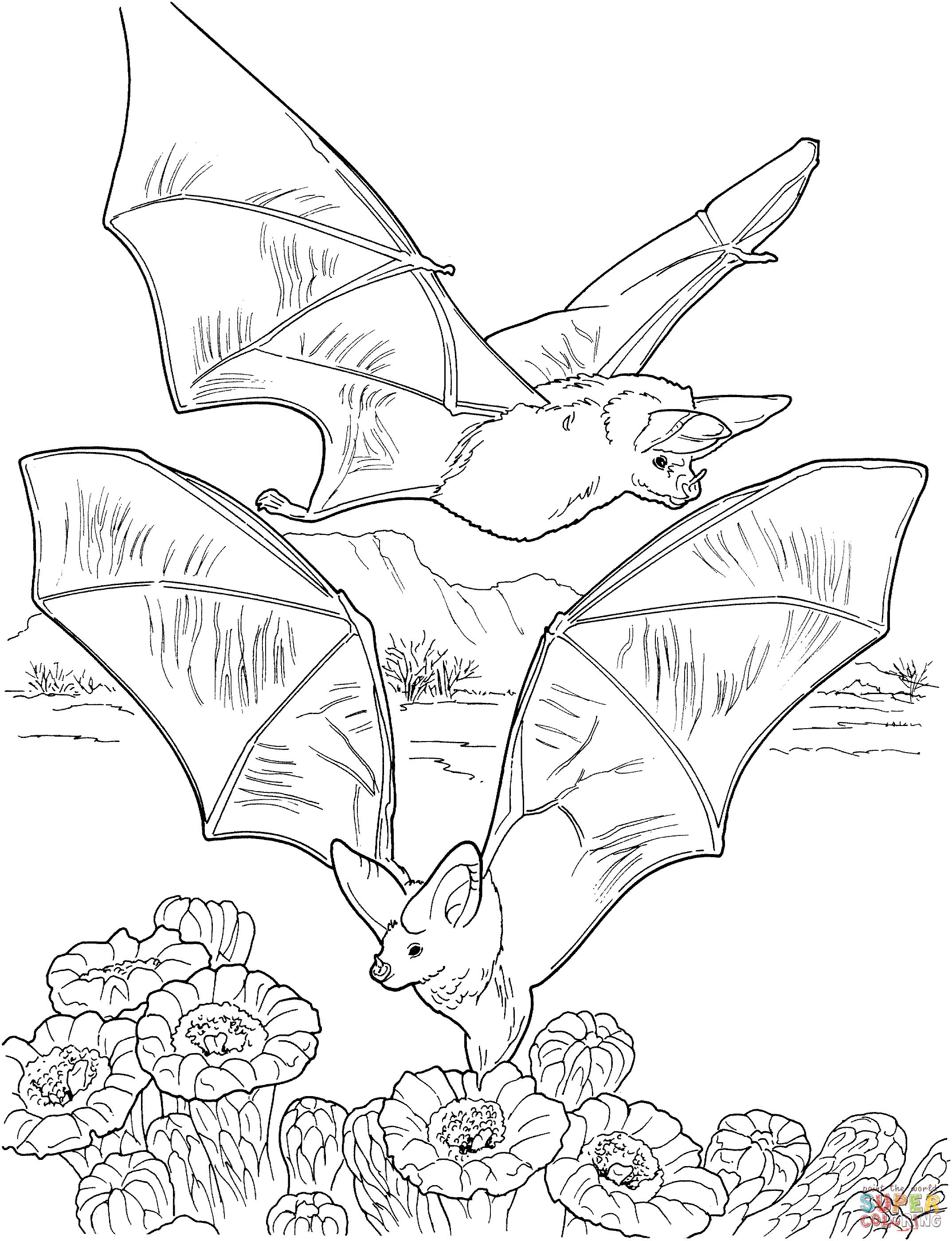 free printable halloween coloring pages bats 30 free bat coloring pages printable pages bats free coloring halloween printable 
