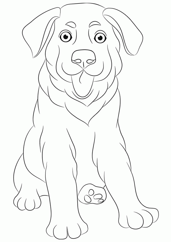 free printable kids pictures printable shrek coloring pages for kids cool2bkids printable pictures kids free 